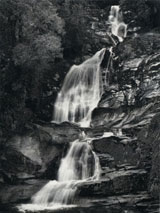Click to Enlarge