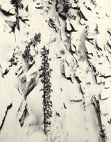 Click to Enlarge